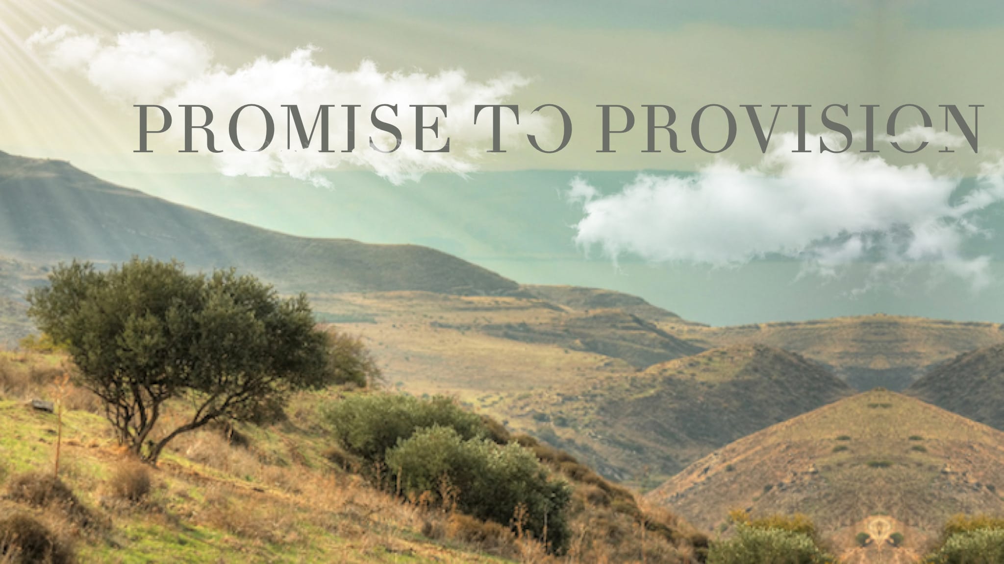 Promise to Provision Title
